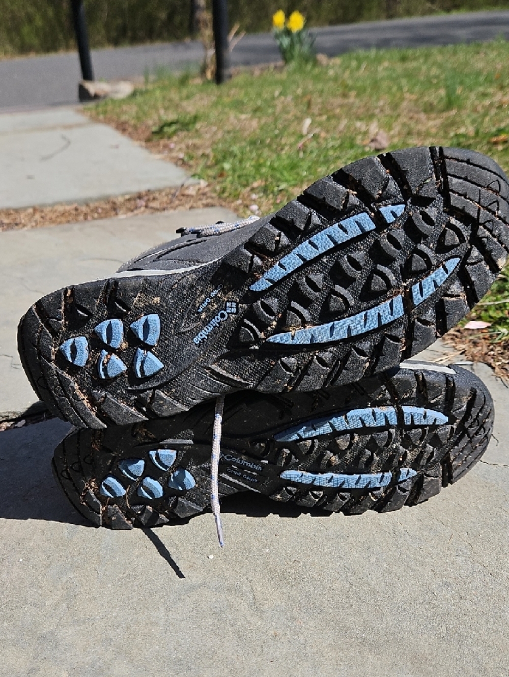 Columbia Gray Newton Ridge Plus Hiking Boots - Picture 4 of 5